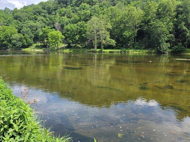 Land for sale in Virginia