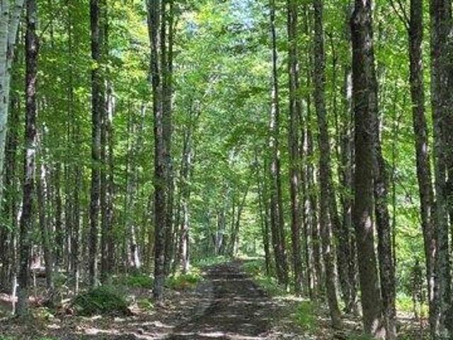 Land for sale in New Sharon, Maine