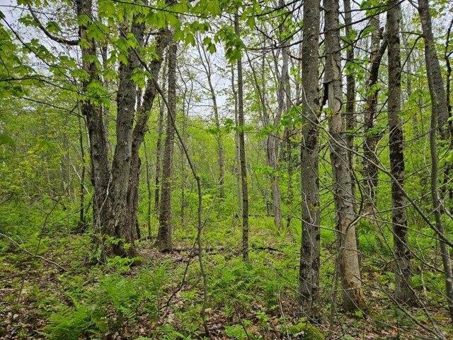 Land for sale in New Sharon, Maine