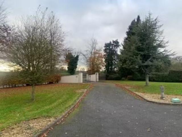 House to rent