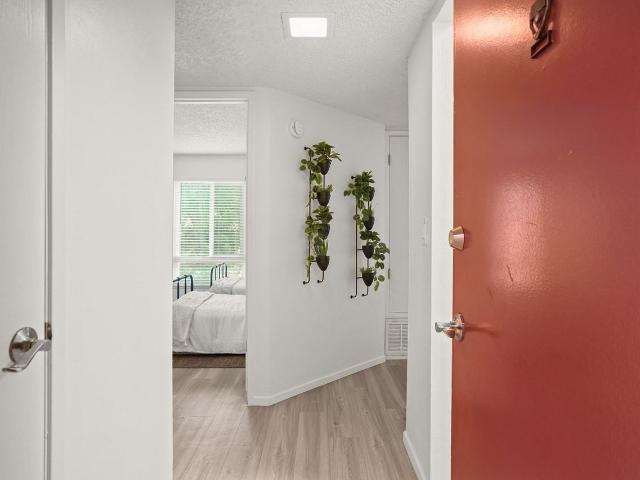 Apartment for rent in Yolo, California