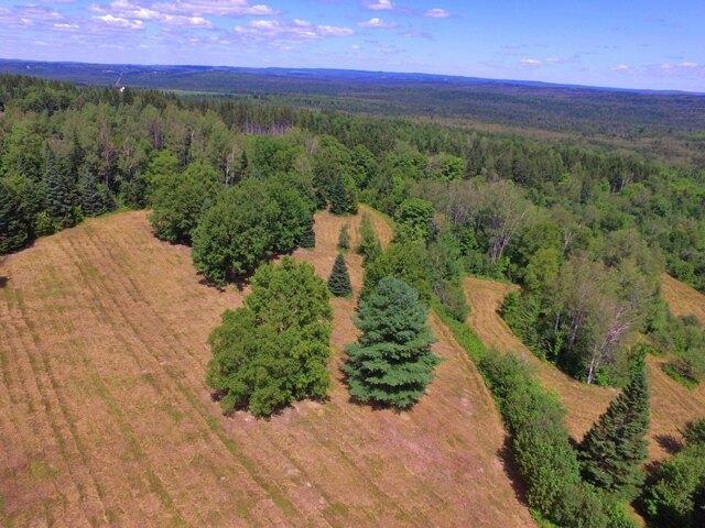 Land for sale in New Sweden, Maine