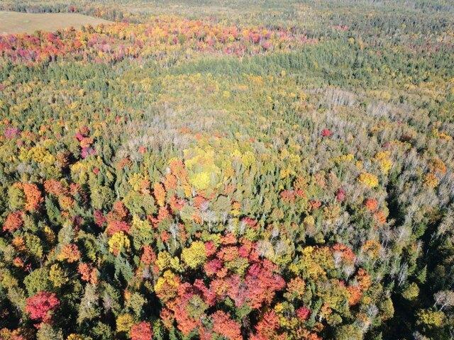 Land for sale in New Sweden, Maine