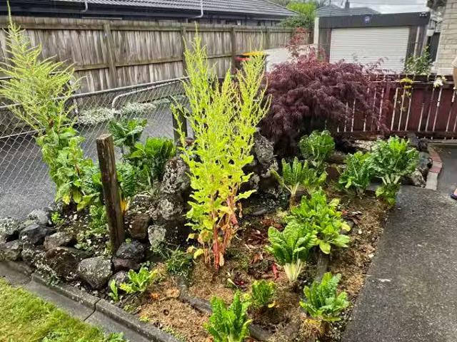 House for rent in Manurewa, Oroua County