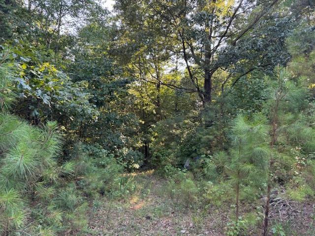 Land for sale in Tennessee