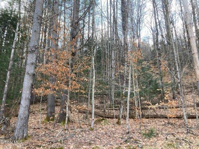 Land for sale in Bolton Landing, New York