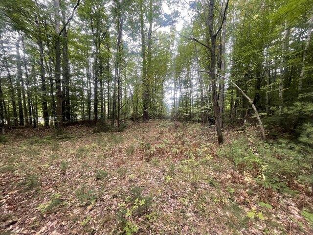 Land for sale in New Vineyard, Maine