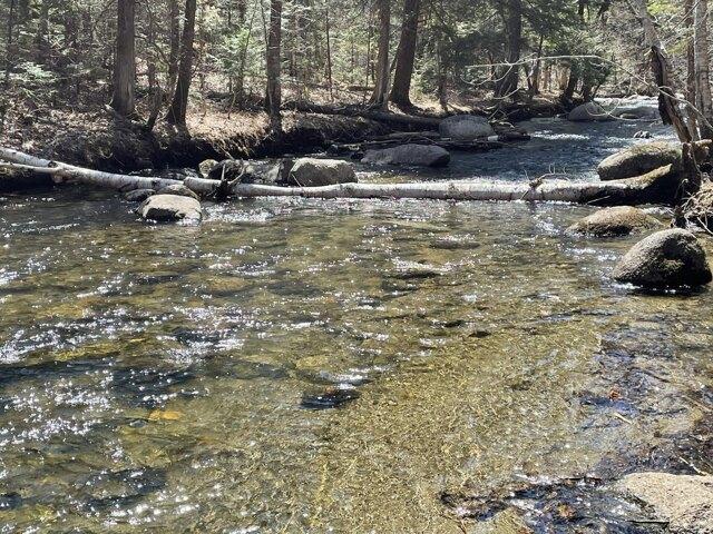 Land for sale in New Vineyard, Maine