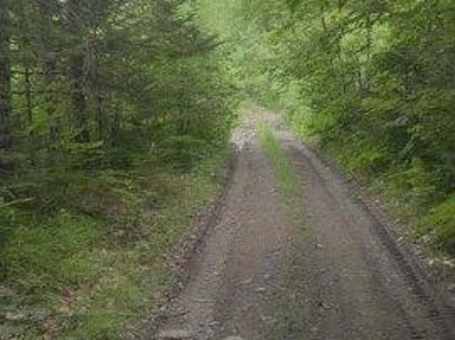 Land for sale in New Vineyard, Maine