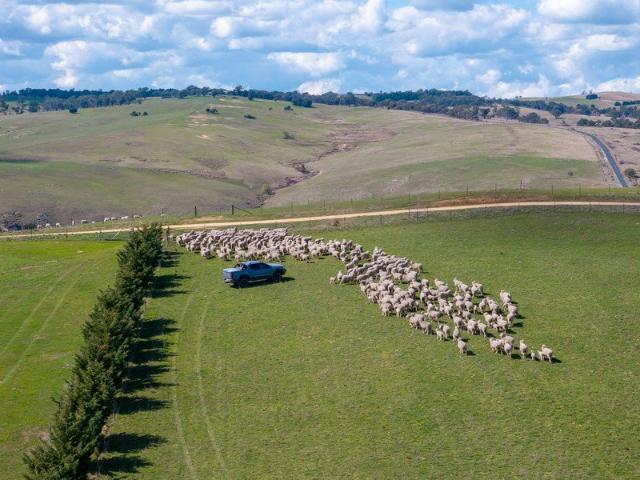 Land for sale in Laggan, New South Wales