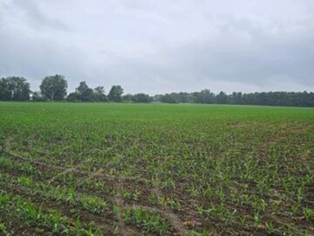 Land for sale in Attica