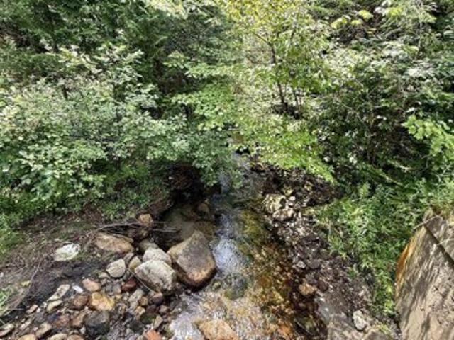 Land for sale in East Haven, Vermont
