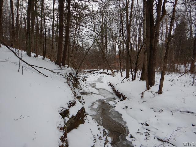 Land for sale in Newark Valley, New York