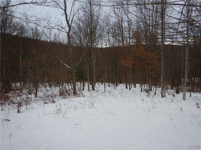 Land for sale in Newark Valley, New York