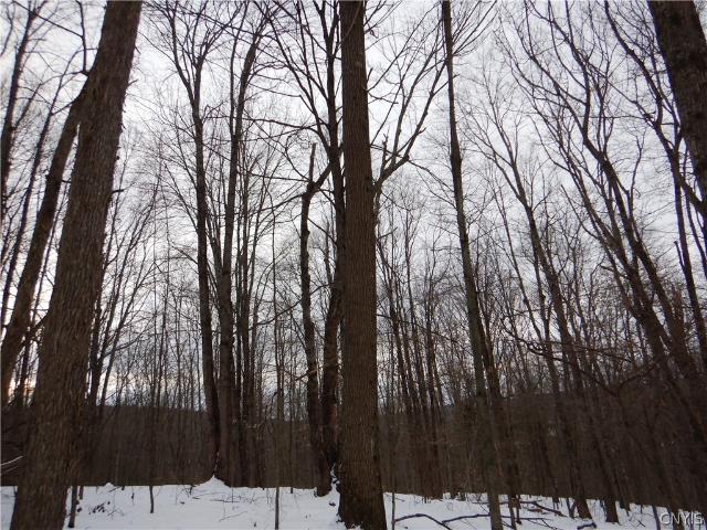 Property for sale in Newark Valley, New York