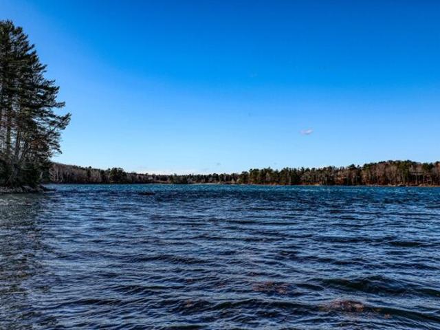 Land for sale in Richs Corner, Surry