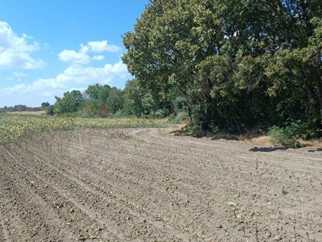 Kırklareli Merkez, Kirklareli içerisinde satılık Arsa