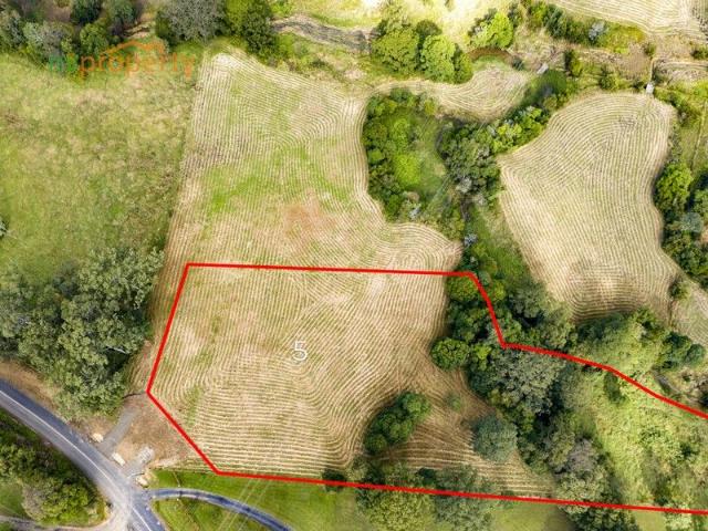 Land for sale in Newee Creek, New South Wales