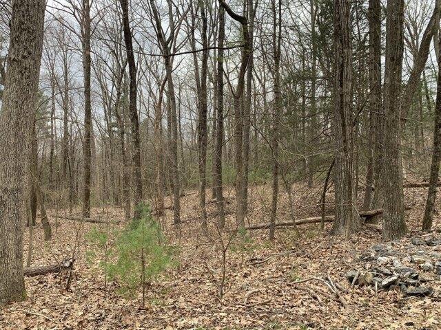 Land for sale in Ellington