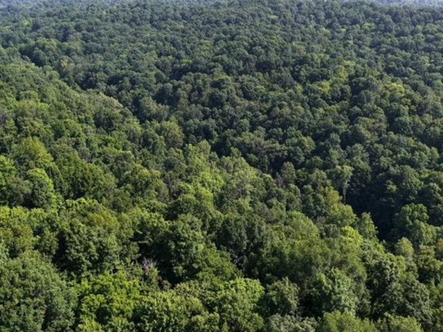 Land for sale in Marietta, Ohio