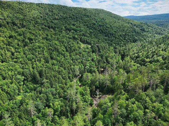 Land for sale in Newfane, Vermont
