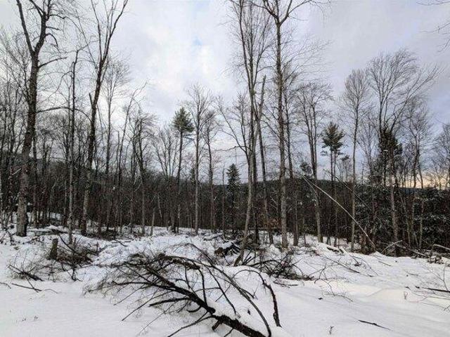 Land for sale in Newfane, Vermont