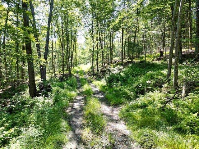 Land for sale in Newfane, Vermont