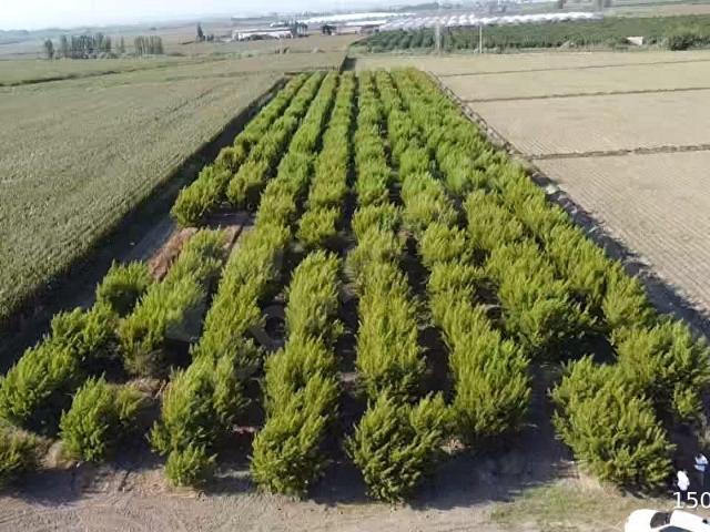 Tarsus, Mersin içerisinde satılık mülk