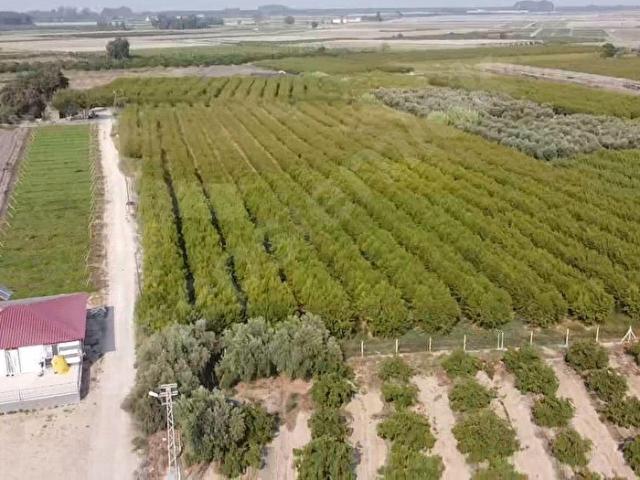Tarsus, Mersin içerisinde satılık mülk