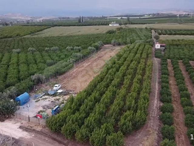 Tarsus, Mersin içerisinde satılık mülk