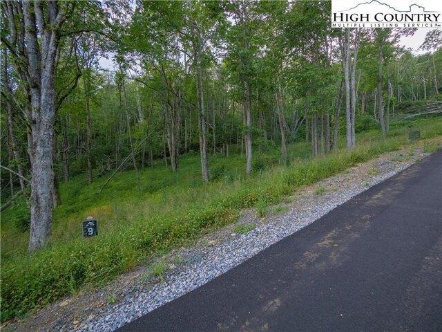 Land for sale in Newland, North Carolina
