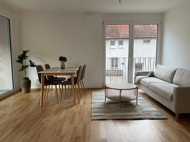 Apartment mieten in Singen, Baden-Württemberg