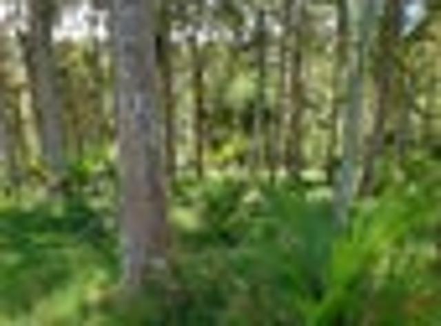 Land for sale in Maungaturoto, Northland