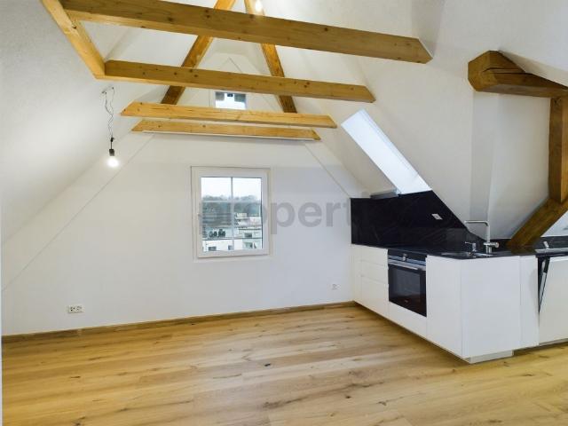 Apartment mieten in Illnau-Effretikon, Zürich