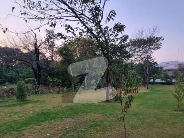 House for rent in Islamabad