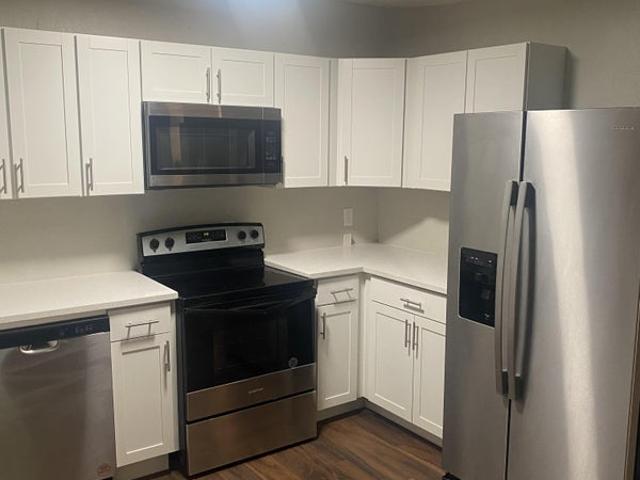 Room for rent in Tampa, Florida