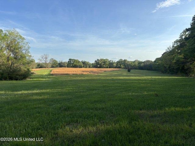 Land for sale in Edwards, Mississippi