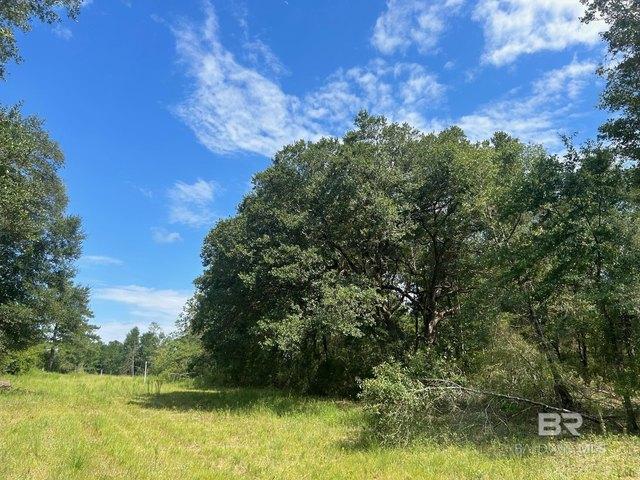 Land for sale in Mobile, Alabama