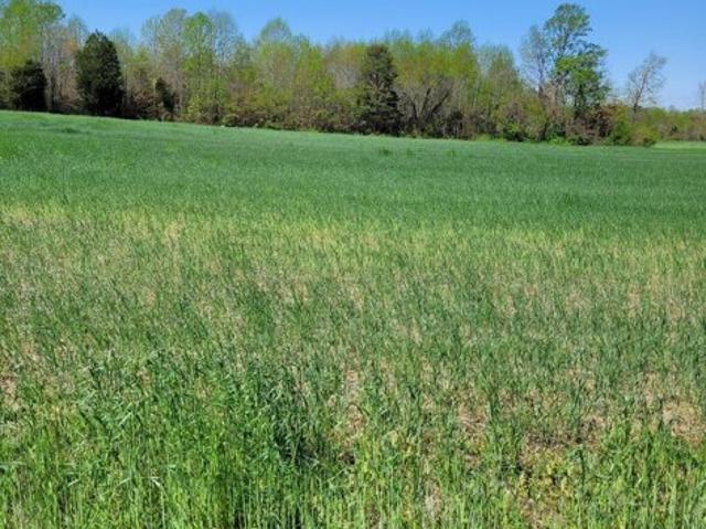 Land for sale in Virginia