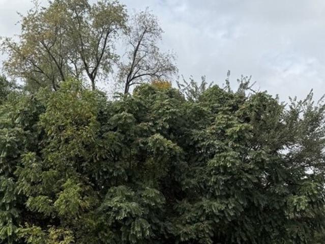 Land for sale in Winnebago, Illinois