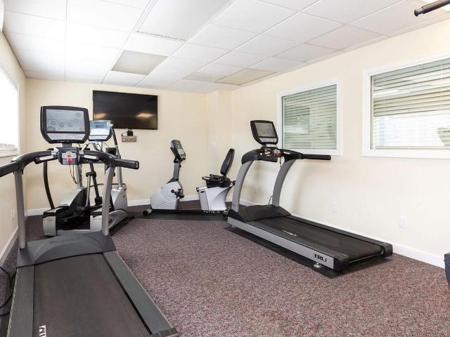 Apartment for rent in Bayberry, Newport News