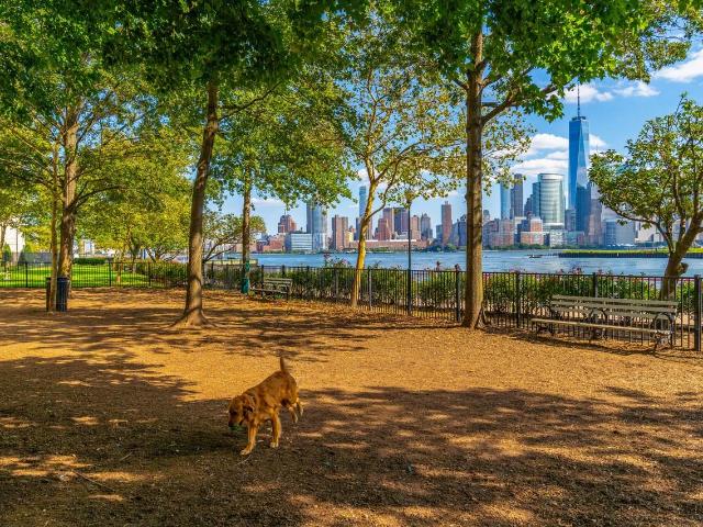 Apartment for rent in Hudson, New Jersey