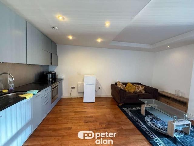 Apartment for rent in Plasnewydd, Falcon Lodge