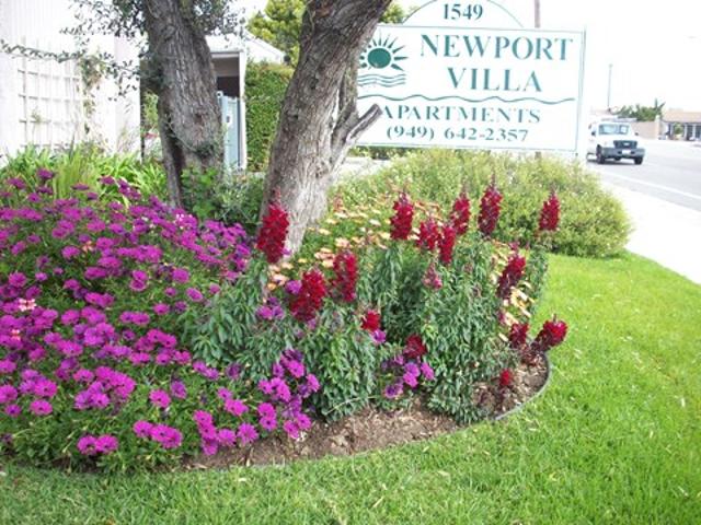 Apartment for rent in Newport Beach