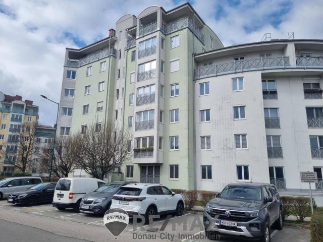 Apartment kaufen in Wiener Neudorf, Niederösterreich
