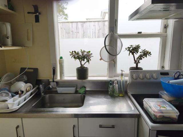 Apartment for rent in Matata, Wellington