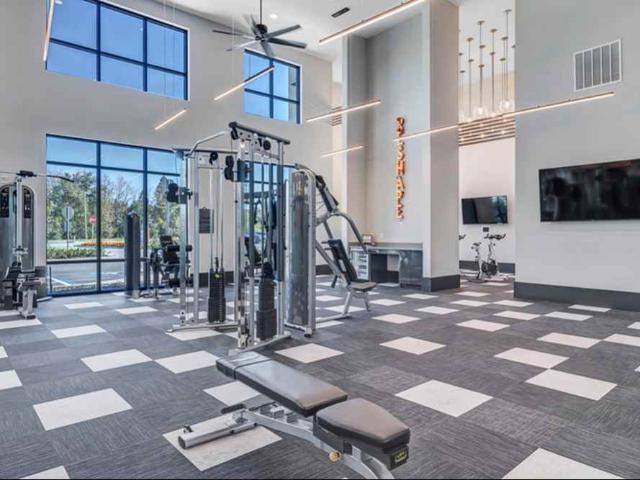 Apartment for rent in Brandon, Florida