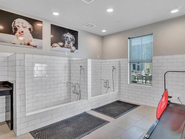 Apartment for rent in Brandon, Florida