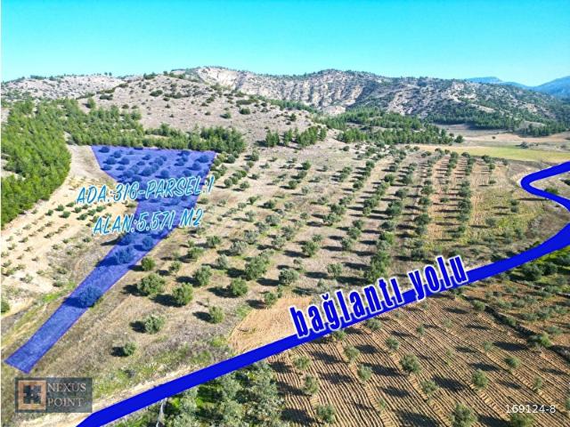 Denizli içerisinde satılık Arsa