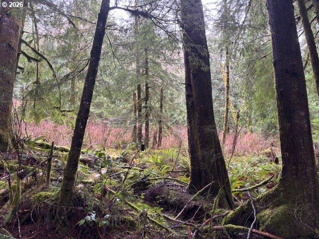 Land for sale in Oregonia